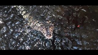 WEEKLY VLOG IN MONTREAL – LUNA’S JOURNEY (EPISODE 37)