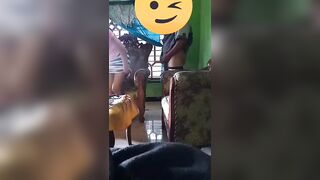 Didogi Bank Keliling Gara” Telat Bayar Https://linktr.ee/bookingpsk